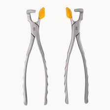 Tooth forceps